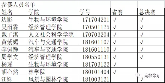 4.webp