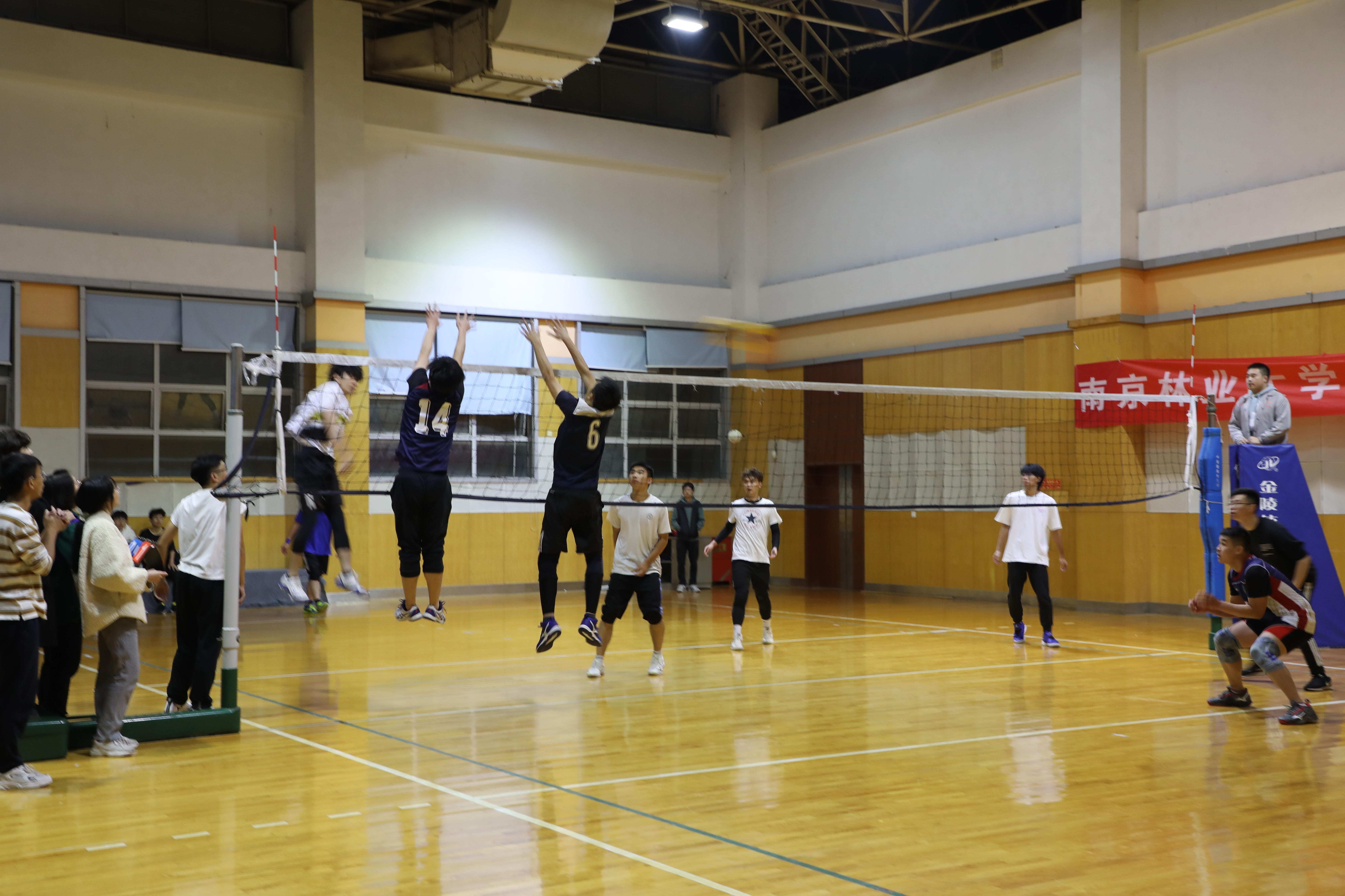5_201095.JPG